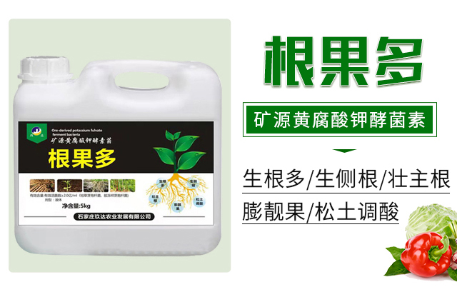 根果多-玖達農(nóng)業(yè)_02
