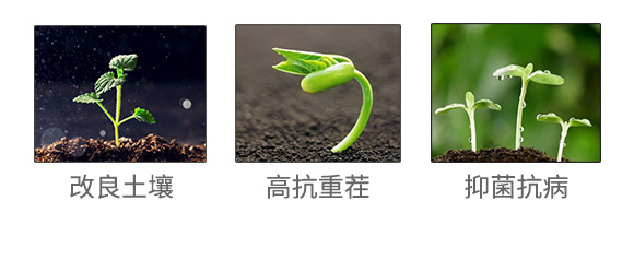 田博士集團有限公司（873702）_04