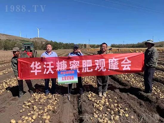 這款糖蜜肥農(nóng)資圈瘋傳!原料天然,低成本高肥效開創(chuàng)者!