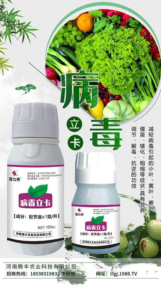     病毒病一種是由植物病毒寄生引起的病害。種類少、危害大，易得難治。在侵染蔬菜植株后會與蔬菜爭奪生長必需的養(yǎng)分，同時會影響植株的養(yǎng)分傳輸，抑制光合作用的進(jìn)行