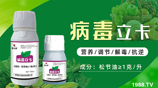 破解植物病毒防治難題！快速恢復(fù)生機(jī)！這個藥打上就管用！