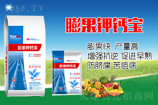 柑橘進入膨大期,如何提升“顏值”?這個方案值得擁有!