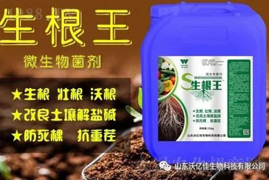 作物重茬、爛根死棵嚴重啥原因？如何改善這些難題？