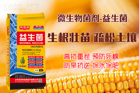 作物如何生根壯根、長(zhǎng)勢(shì)更茂盛？學(xué)會(huì)這些事半功倍！