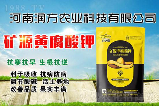 礦源黃腐酸鉀為什么牛？怎么用才能效果翻倍？