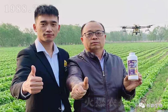 玉米追肥復(fù)合肥好還是尿素好？很多人都錯(cuò)了！它才是正確選擇