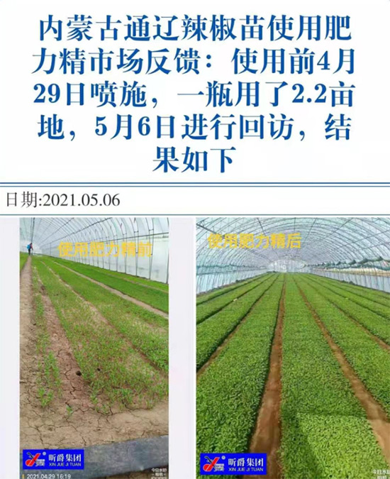 玉米追肥復(fù)合肥好還是尿素好？很多人都錯(cuò)了！它才是正確選擇