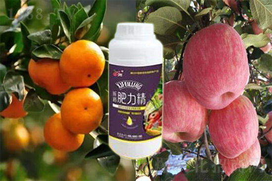 玉米追肥復(fù)合肥好還是尿素好？很多人都錯(cuò)了！它才是正確選擇