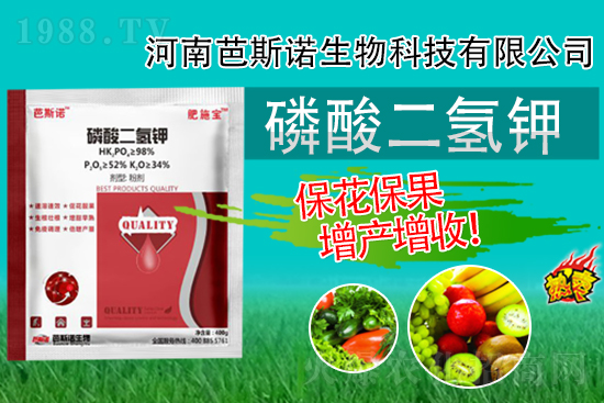 �������⛾����@�����r�g�c�����e�^���±�������