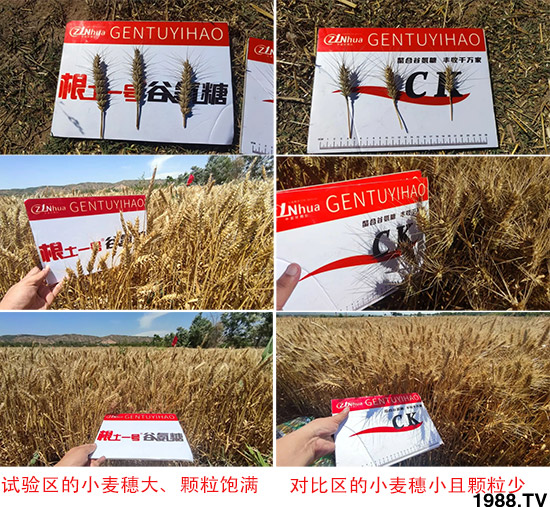 山西中農(nóng)化生物技術股份有限公司25