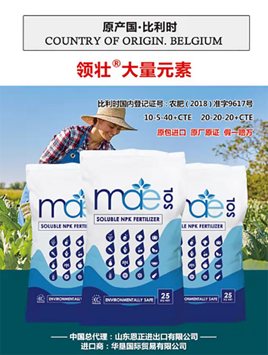 交500頂2000，高端進(jìn)口肥“性價(jià)比霸主”