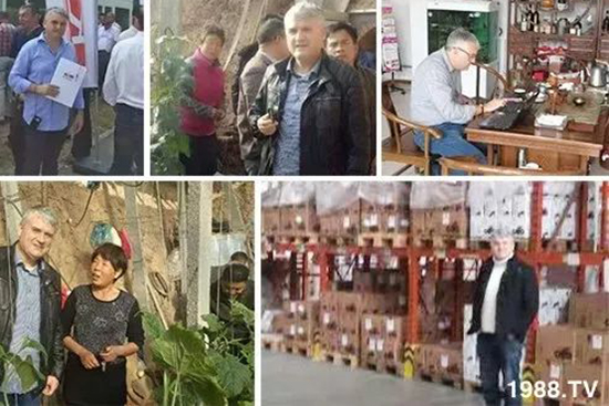 交500頂2000，高端進(jìn)口肥“性價(jià)比霸主”