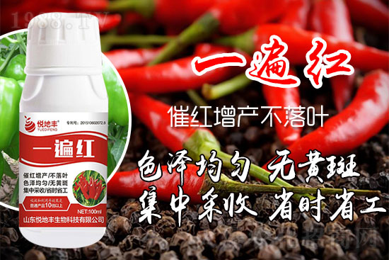 辣椒為什么要增紅？辣椒增紅上色哪個(gè)牌子好？