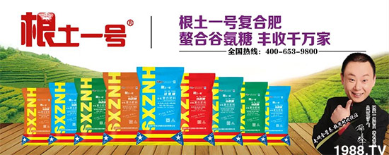 山西中農(nóng)化生物技術股份有限公司13