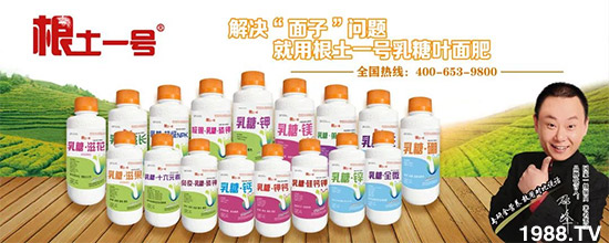 山西中農(nóng)化生物技術股份有限公司6