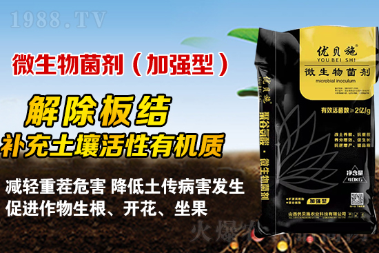 礦源黃腐酸鉀你了解多少？礦源黃腐酸鉀遇見微生物菌劑有啥奇妙反應(yīng)？