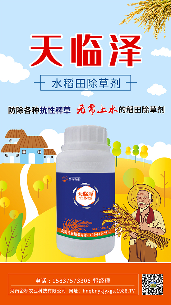 水稻田抗性稗草怎么防除？稻田青稗怎么用藥？