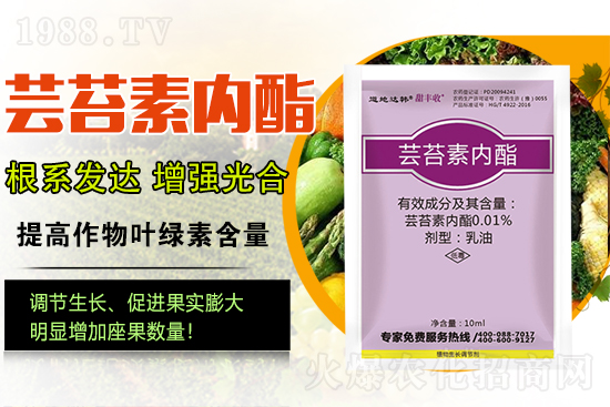 蕓苔素內(nèi)酯為啥被稱為植物救命藥？蕓苔素內(nèi)酯怎么選？