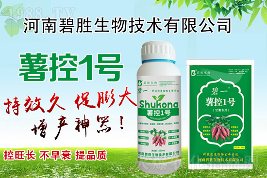 紅薯如何控旺?紅薯控旺有哪些措施?控旺產(chǎn)品怎么選?