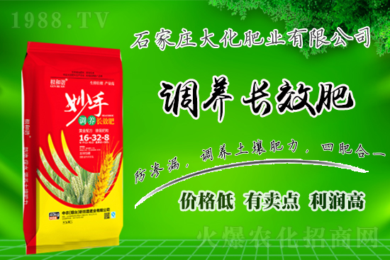 戰(zhàn)略合作再升級(jí),石家莊大化肥業(yè)再次簽約1988.TV!