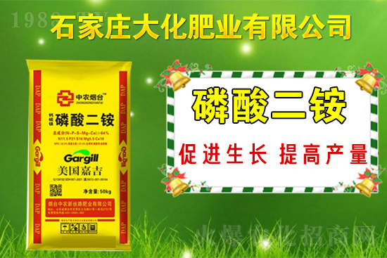 戰(zhàn)略合作再升級(jí),石家莊大化肥業(yè)再次簽約1988.TV!