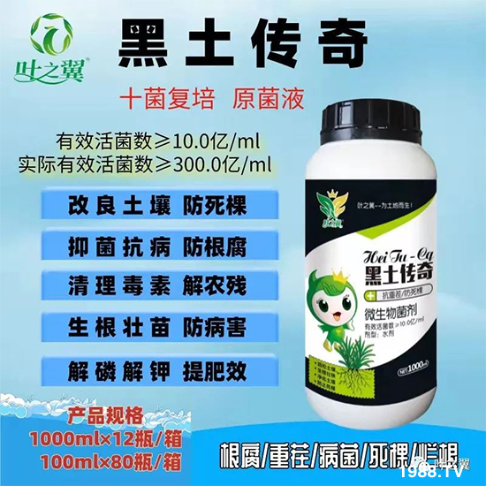 高溫季節(jié)作物缺鈣癥狀防治對策