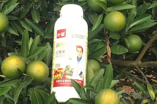 紅果素—只為轉(zhuǎn)色而生！轉(zhuǎn)色快、高，催紅不用愁！