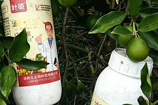 紅果素—只為轉(zhuǎn)色而生！轉(zhuǎn)色快、高，催紅不用愁！