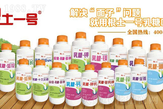 7月份獼猴桃進入二次膨大期、轉糖期,這5個管理要點不得不看!