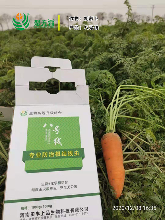 淡紫紫孢菌+阿維菌毒-八號(hào)線-聚無(wú)霸2