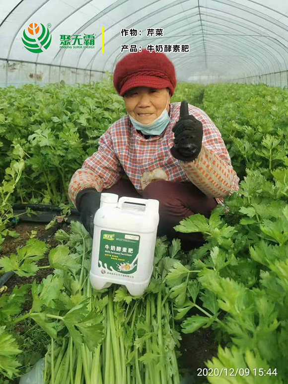 牛奶酵素肥-聚無(wú)霸2