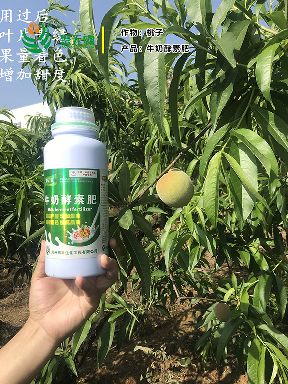 牛奶酵素肥-聚無(wú)霸4