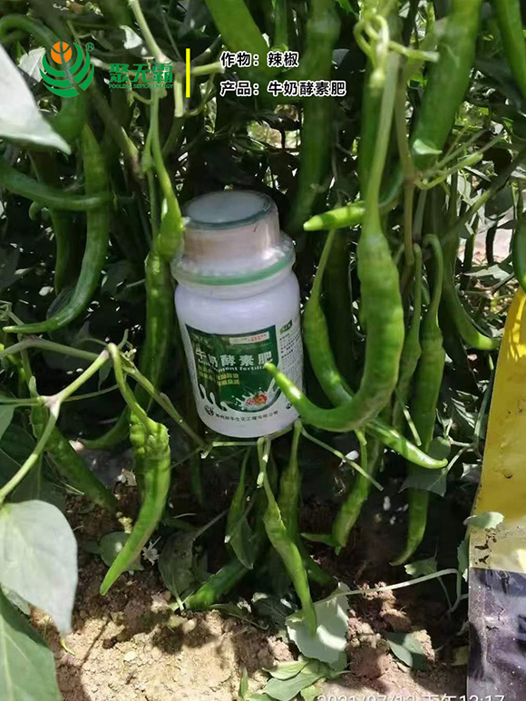 牛奶酵素肥-聚無(wú)霸3