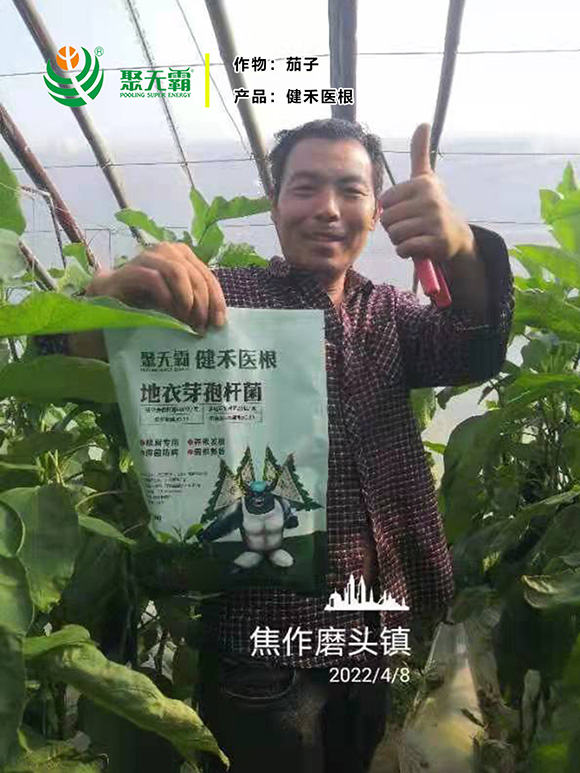 健禾醫(yī)根地衣芽孢桿菌-聚無(wú)霸4