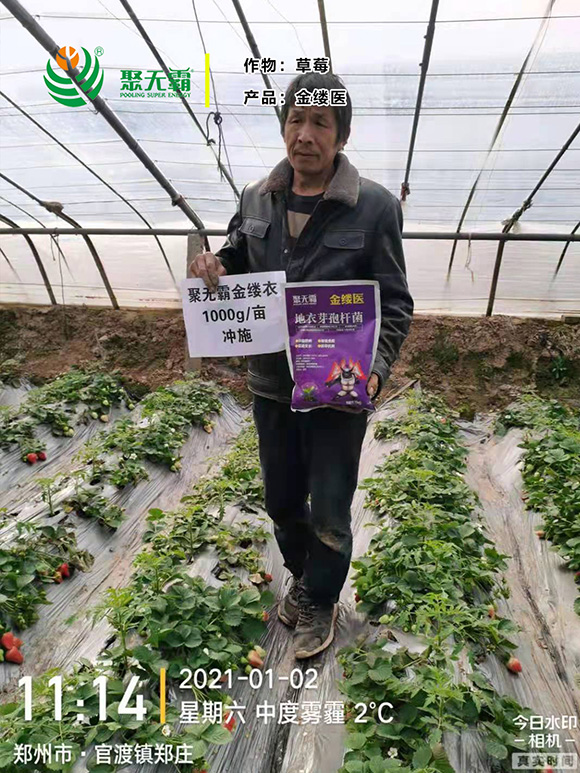 金縷醫(yī)地衣芽孢桿菌-聚無(wú)霸4