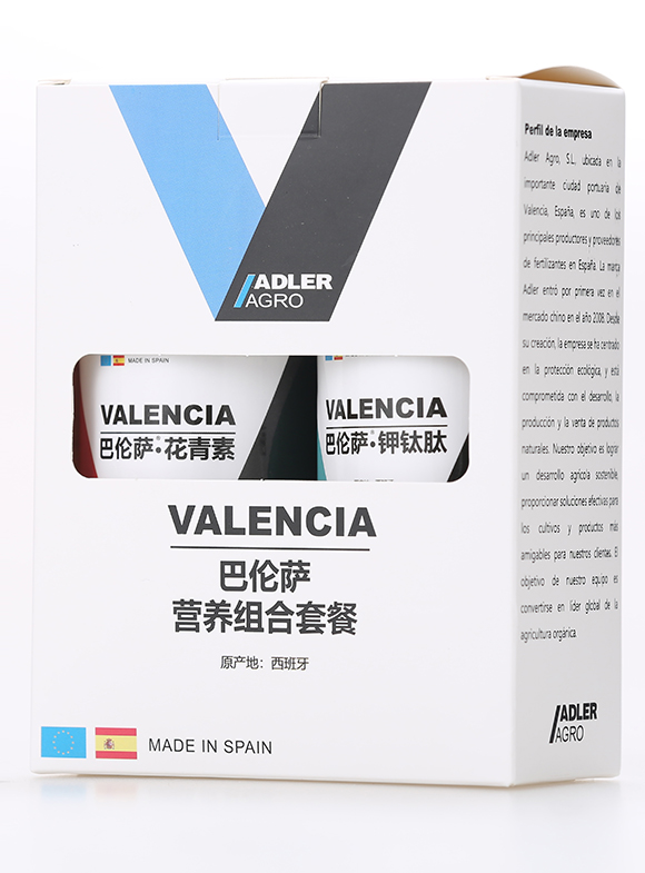 �����D(zhu��n)ɫ�I(y��ng)�B(y��ng)�ײ�1