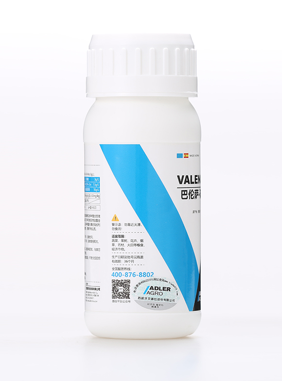 �͂��_�����5