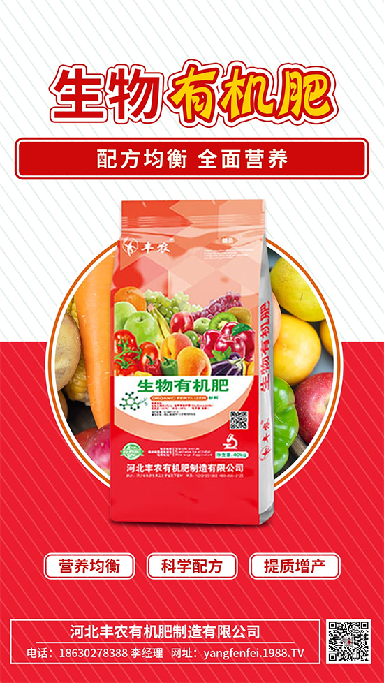 河北豐農(nóng)有機(jī)肥制造有限公司1