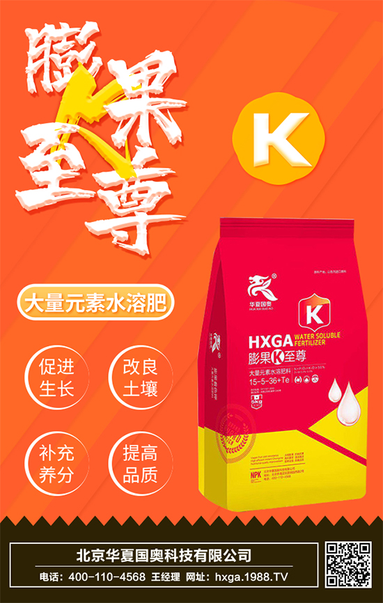 北京華夏國(guó)奧科技有限公司1