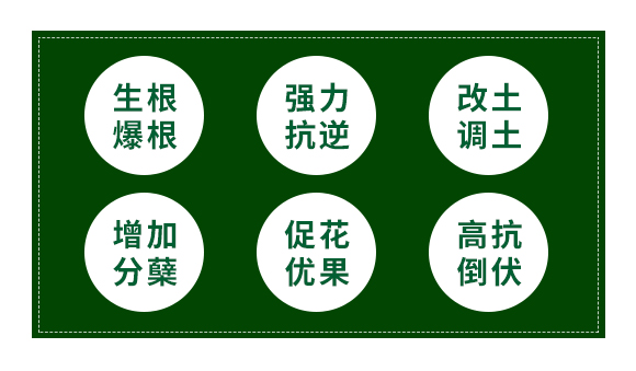 聚谷氨酸褐藻寡糖顆粒-禾健_02