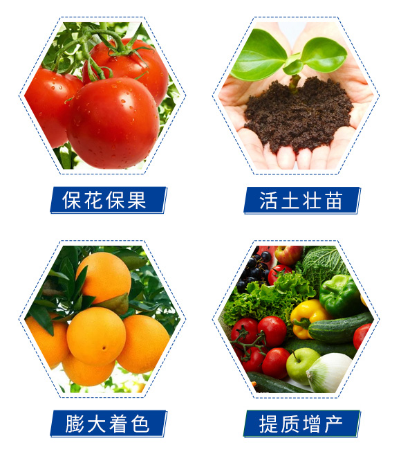 �������|(zh��)�_ʩ��-�Θ�(l��)��_05