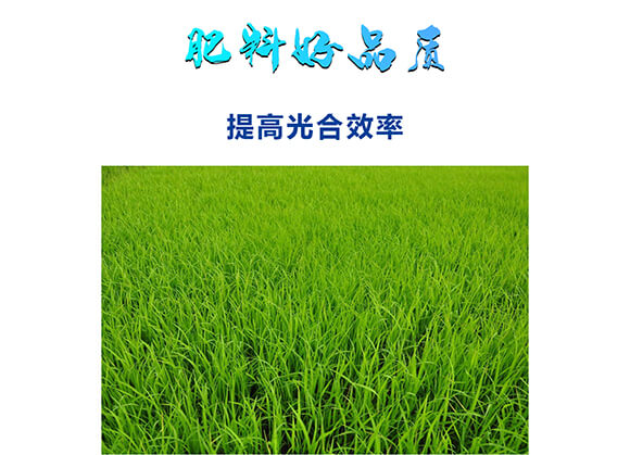 肽糖型肽糖磷鉀0-400-450-嘉樂(lè)收-嘉仕禾_05