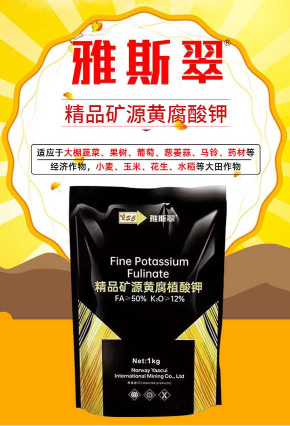 ��Ʒ�VԴ�S��ֲ���-��˹��_01