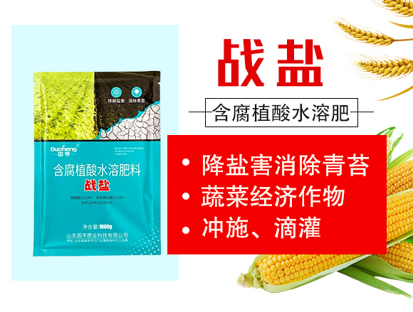 戰(zhàn)鹽-國亨肥業(yè)_02