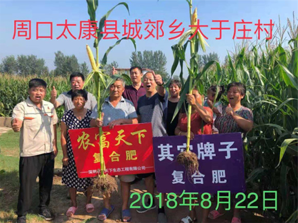 大田專用磷酸二氫鉀型復(fù)合肥料17-17-17-農(nóng)富天下6