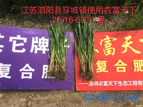 大田專用磷酸二氫鉀型復(fù)合肥料17-17-17-農(nóng)富天下5