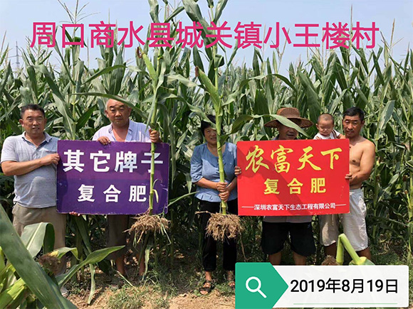 大田專用磷酸二氫鉀型復(fù)合肥料17-17-17-農(nóng)富天下4