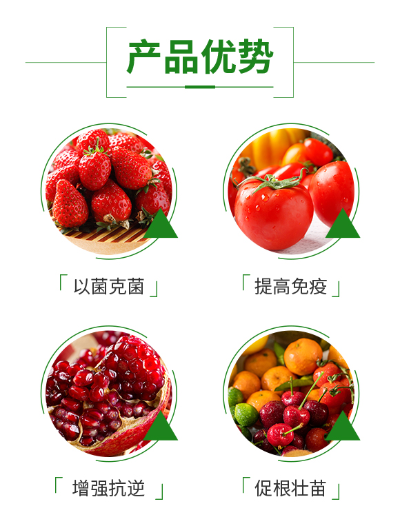 鄭州鼎來(lái)瑞農(nóng)業(yè)科技有限公司_03