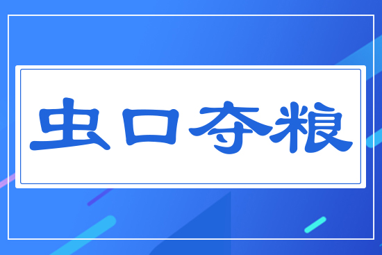 蟲(chóng)口奪糧