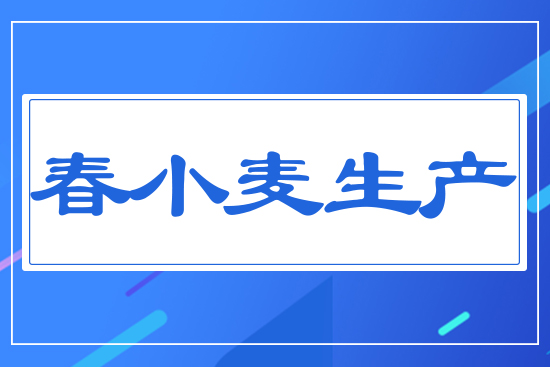 春小麥生產(chǎn)